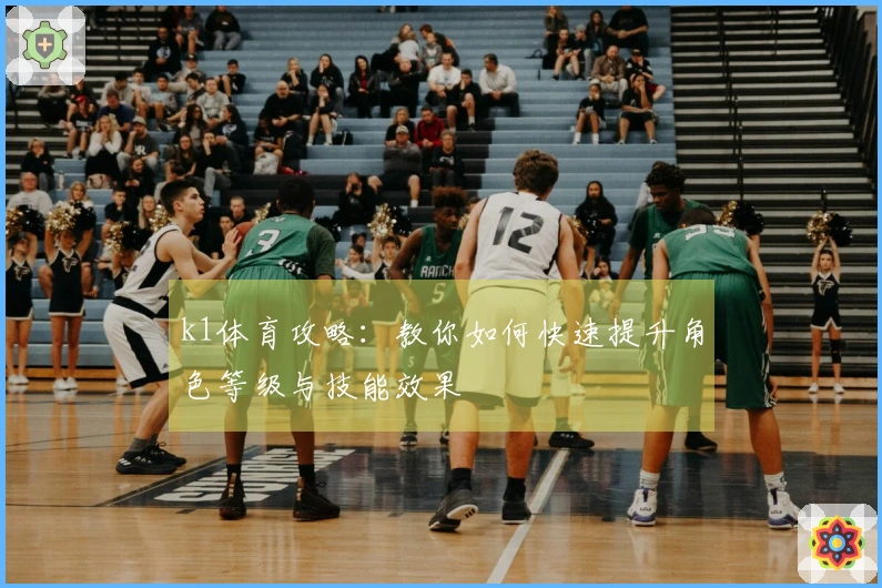 k1体育攻略：教你如何快速提升角色等级与技能效果