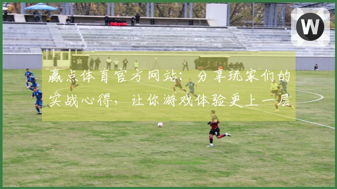 赢点体育官方网站：分享玩家们的实战心得，让你游戏体验更上一层楼